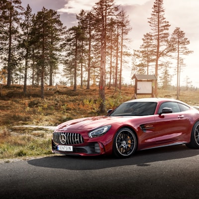 Brake Caliper Brackets